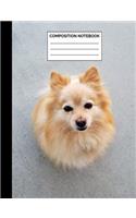 Composition Notebook: Orange Pomeranian Wide Ruled Lined Note Book - Cute Exercise Book & Journal with Lines for Dog Lovers, Kids, Teens, Students or Teachers to Write In