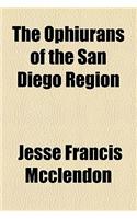The Ophiurans of the San Diego Region