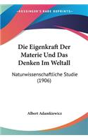 Eigenkraft Der Materie Und Das Denken Im Weltall