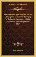 Descriptions Of Apparently New Species Of Subspecies Of Mammals Belonging To The Families Lemuridae, Cebidae, Callitrichidae, And Cercopithecidae (1907)