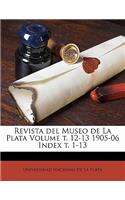 Revista del Museo de La Plata Volume t. 12-13 1905-06 Index t. 1-13