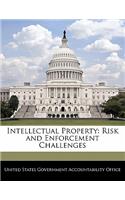 Intellectual Property: Risk and Enforcement Challenges