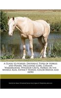 A Guide to Horses