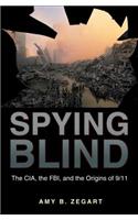 Spying Blind