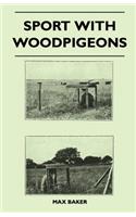 Sport with Woodpigeons