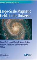 Large-Scale Magnetic Fields in the Universe