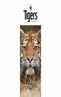 WWF TIGERS SLIM CALENDAR 2021