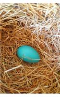 Journal Single Robin's Egg Bird Nest: (Notebook, Diary, Blank Book)