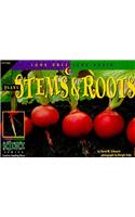 Plant Stems & Roots