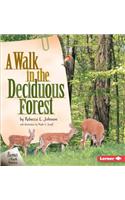 A Walk in the Deciduous Forest