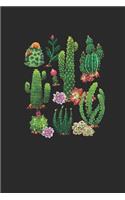 Cacti of the Southwest