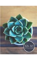 2020-2021 Two Year Planner: Succulent Planner January 1, 2020 to December 31, 2021 Weekly & Monthly Planner + Calendar Views Plant 2 Year Calendar 24 Month Agenda Planner Gift 