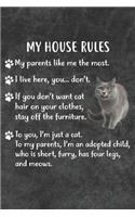 My House Rules Notebook Journal: 110 Blank Lined Papers - 6x9 Personalized Customized Notebook Journal Gift For Russian Blue Cat Kitten Owners and Lovers