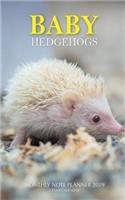 Baby Hedgehogs Monthly Note Planner 2019 1 Year Calendar