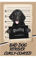 Bad Dog Retriever Curly-Coated: Blank Cookbook Recipes & Notes Featuring 120 Pages 6x9