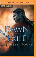 Dawn of the Exile: (Infernal Guardian)
