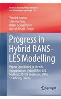Progress in Hybrid Rans-Les Modelling