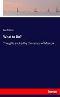 What to Do?: Thoughts evoked by the census of Moscow