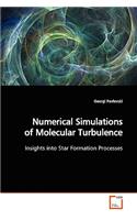 Numerical Simulations of Molecular Turbulence