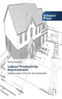 Labour Productivity Improvement