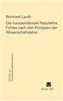 transzendentale Naturlehre Fichtes nach den Prinzipien der Wissenschaftslehre