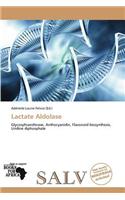 Lactate Aldolase