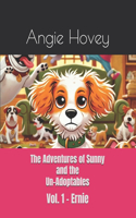 The Adventures of Sunny and the Un-Adoptables