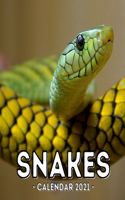 Snake Calendar 2021