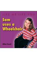 Sam Uses a Wheelchair: (Like Me, Like You)