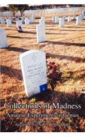 Collections of Madness: Amateur Experiments in Genius(English)