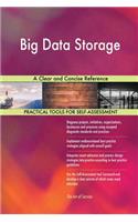 Big Data Storage A Clear and Concise Reference