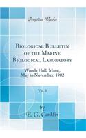 Biological Bulletin of the Marine Biological Laboratory, Vol. 3: Woods Holl, Mass;, May to November, 1902 (Classic Reprint)