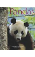 PE USA Chatterbox Fl: Pandas