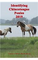 Identifying Chincoteague Ponies 2019