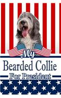 My Bearded Collie for President