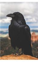 Call of the Crow Journal: A Daily Diary for Pagans