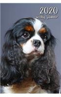 2020 Weekly Planner: 6 X 9 In. Cavalier King Charles Spaniel 52 Weekly Calendar Schedule Organizer Appointment Journal Notebook for Spaniel Fans