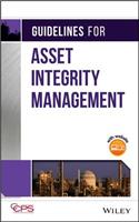 Guidelines for Asset Integrity Management