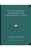 On The Aqueous Vapor Expelled From Beehives (1847)