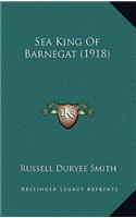 Sea King Of Barnegat (1918)