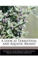 A Look at Terrestrial and Aquatic Biomes: (English)