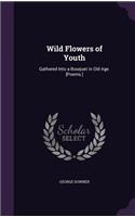 Wild Flowers of Youth