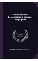 Some Species of Leptocheirus, a Genus of Amphipoda