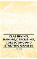 Classifying, Naming, Describing, Collecting and Studying Grasses