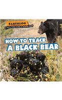 How to Track a Black Bear