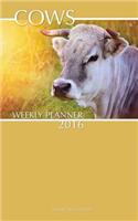 Cows Weekly Planner 2016: 16 Month Calendar(English)