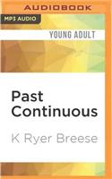 Past Continuous