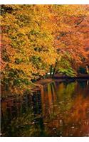 MindBlowing Nature Journal 31