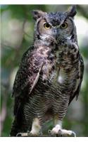 Owl Journal