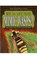 Why Do Some Moths Mimic Wasps?